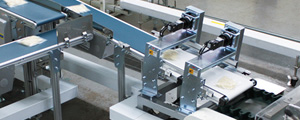 Special specification conveyor img