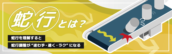 蛇行（だこう）とは？